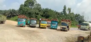 Jumat Berkah, Harga TBS Sawit di Sejumlah PKS Naik Lagi