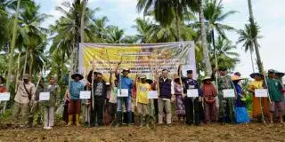 Pacu Produksi Padi, Ditjenbun Kementan Tanam Padi Gogo di Lebak dan Serang