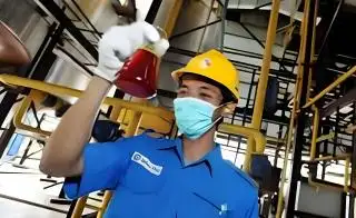 Gubernur Buka Peluang Investasi Industri Sektor Kelapa Sawit di Bengkulu