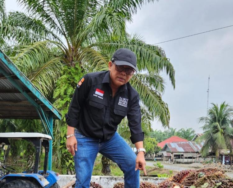 Harga Sawit Mitra Diprediksi akan Terus Naik