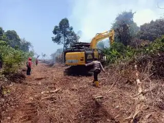 Terik, Hutan hingga Kebun Sawit Masyarakat Terbakar di Tiga Lokasi di Bengkalis