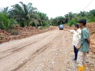 121 Perusahaan di Riau Sudah Tersertifikasi ISPO, Segini Luas Kebun Sawitnya