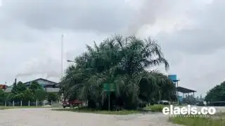 Cerita PKS Komersil di Tiga Provinsi