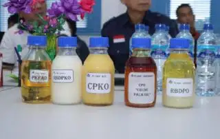Melonjak Harga CPKO ke Rp 15.800-an Berdasarkan Hasil Tender  PT KPBN Periode 7 Mei 2024