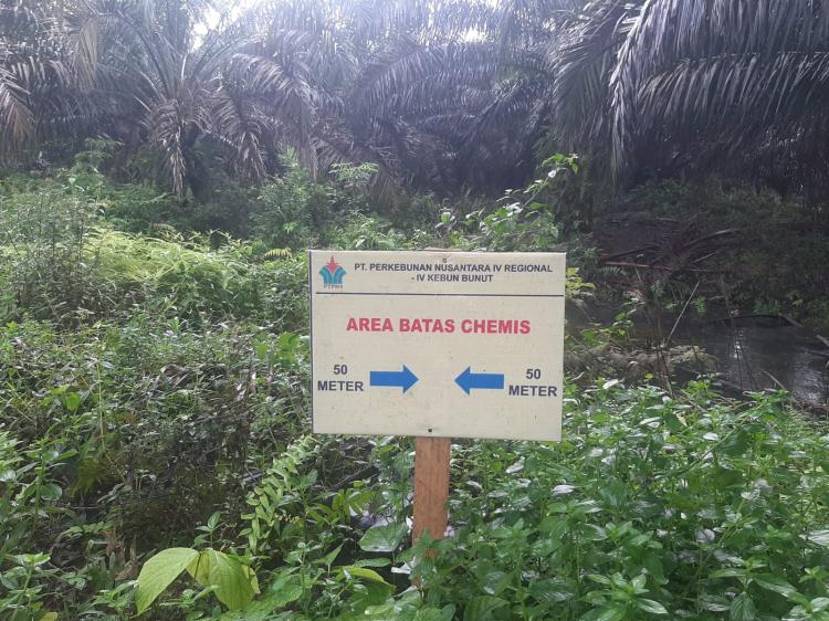 PTPN IV Jambi Dianggap Menyalahi Aturan, Tanaman Sawit Kena 'Segel', Tak Boleh Panen!