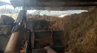 Cenderung Stagnan Perkembangan Harga Palm Kernel Hasil Tender Astra