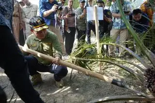 Desa Baru Jadi Bukti Kantong Petani Sawit Tetap Tebal Tanpa Membakar Lahan
