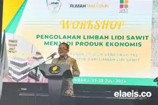 Program Pengembangan Kemitraan Masih Jadi Fokus Meski Ada Wacana BPDPKS Berubah Jadi BPDP