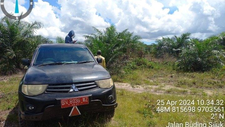 Pemutihan Sawit dalam Kawasan Hutan Rawan Jadi Ajang Korupsi