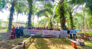 Ikut Sekolah Lapang, Petani Swadaya Pelajari Beragam Masalah Seputar Sawit