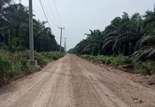 PT KTU Sigap Lakukan Perbaikan Jalan Lubuk Miam-Simpang Kuala Gasib