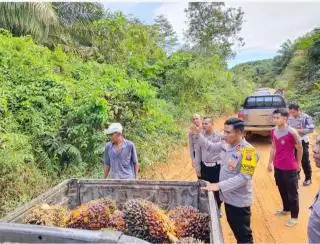 Ribuan Petani Sawit di Kotim Dilindungi Jamsostek, Iurannya Ditalangi DBH Sawit