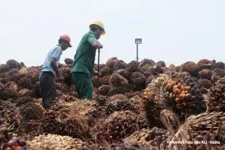 Penerimaan Negara Bocor, Pemerintah Andalkan Digitalisasi Pantau Pergerakan Sawit