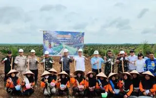 Kejar Swasembada Pangan, Kementan Tanam Perdana Padi Gogo di Lahan Sawit di Sumsel