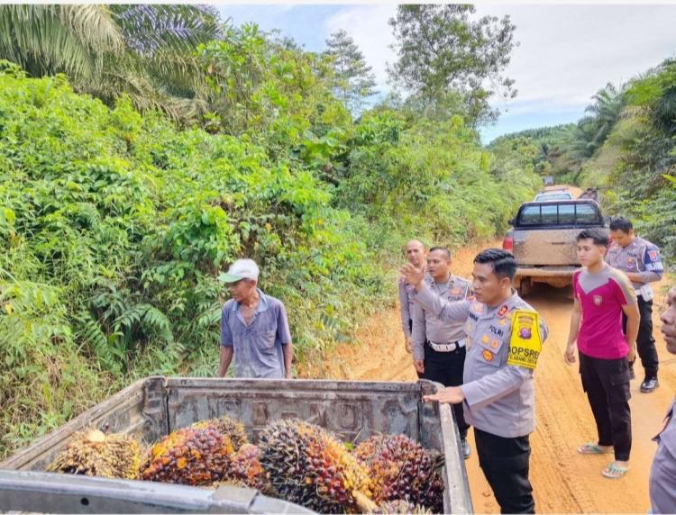 Industri Sawit Bawa Perubahan Besar di Kotawaringin Timur