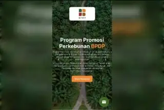 Mudahkan Mitra Akses Pendanaan Promosi Sawit, BPDP Luncurkan AKSI NYATA