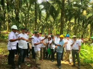 Setop Dana untuk Seminar dan FGD, BPDP Hanya Dukung Kegiatan Berbasis Aksi