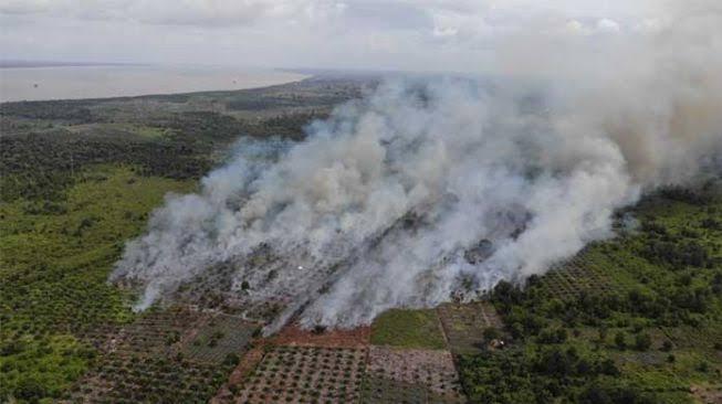 Begini Upaya Apkasindo Cagah Karhutla di Riau