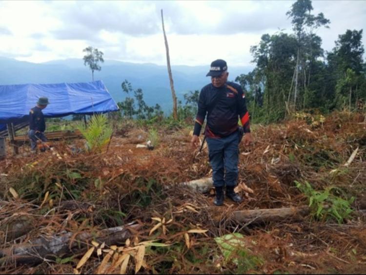 Tuntaskan Sawit di Kawasan Hutan, IAW: Hentikan Saling Menyalahkan
