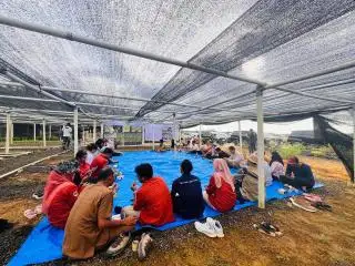 Kolaborasi Lintas Sektor, Kunci Keberhasilan Pendekatan Yurisdiksi dalam Tata Kelola Sawit
