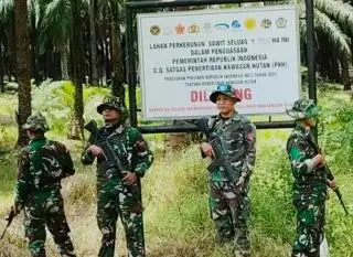 Akademisi Sesalkan Lahan Sawit Sitaan Satgas PKH Diserahkan ke PT Agrinas