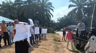 Apkasindo Minta PT SKA Segera Selesaikan Permasalahan Dengan Petani di Sijunjung Sumbar