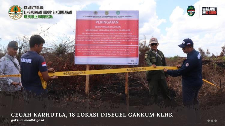 KLH Menang 4 Gugatan Karhutla atas Perusahaan Perkebunan dan HTI, Dendanya Fantastis