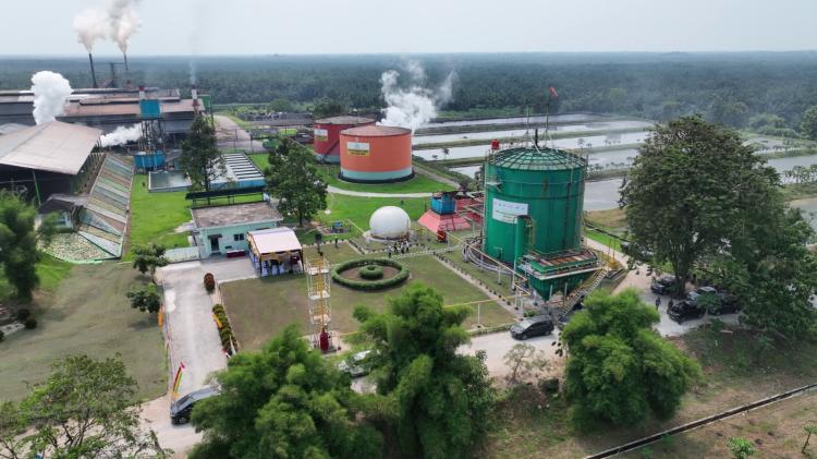 287 Pabrik Sawit di Riau Buka Peluang UMKM Garap Usaha dari Hulu ke Hilir