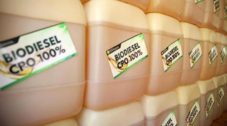 Agustus 2025, HIP Biodiesel Naik Jadi Rp13.527/Liter