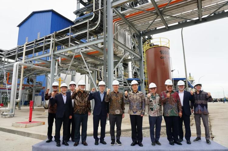 Perusahaan Korea Borong Sawit Indonesia, Total Investasi Tembus Rp16,7 Triliun