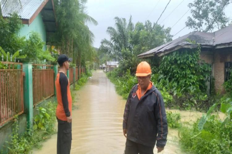 Air Meluap dari Lahan Sawit PTPN, 110 Rumah di Langsa Aceh Jadi Kolam Dadakan