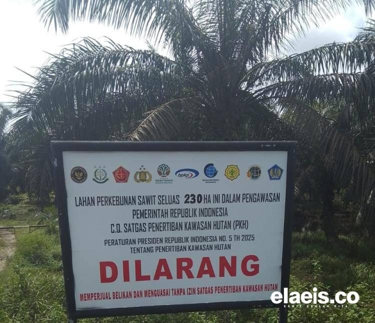 Menata Ulang Arah Kerja Satgas PKH