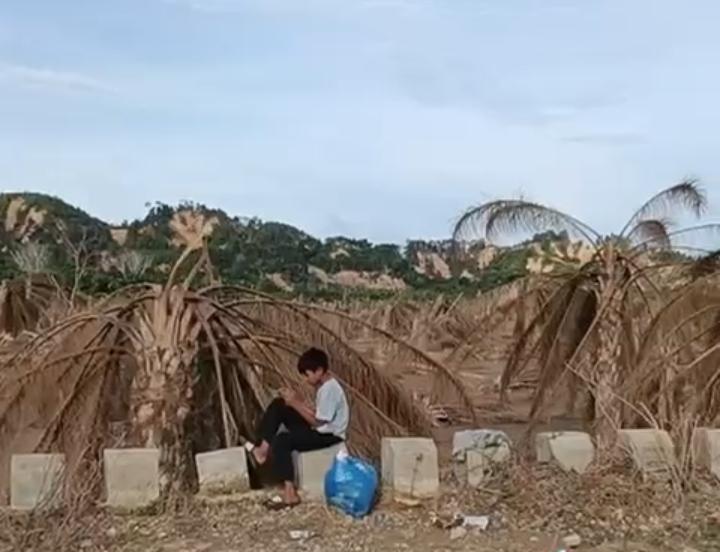 Bukan Puluhan, Ratusan Hektar Kebun Sawit di Aceh Tamiang Ludes Diterjang Lumpur dan Kayu Gelondongan