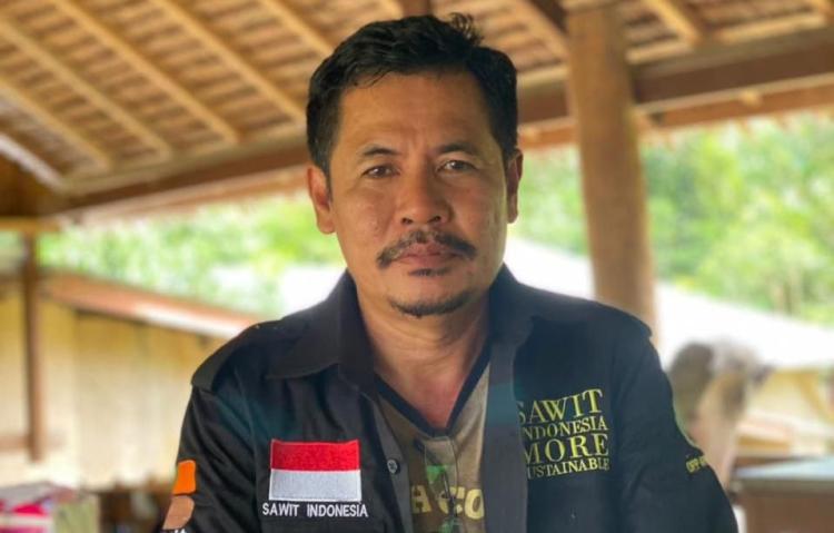 Investor Serbu Komoditas Energi, Harga CPO Naik dan TBS Petani Ikut Terdongkrak