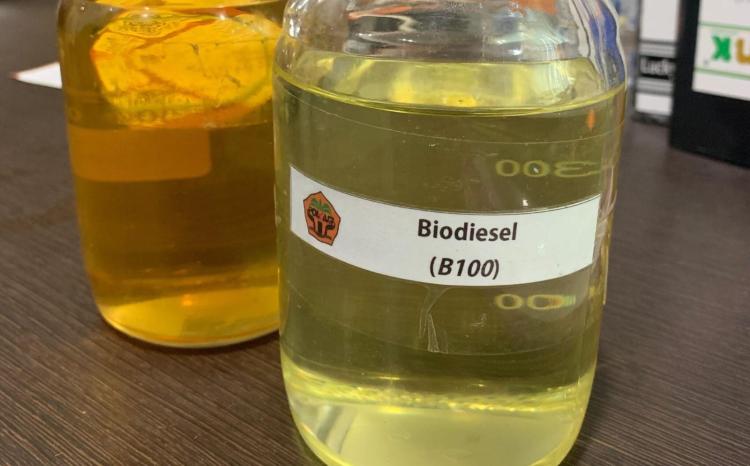 Dari Praktikum Jadi Inovasi, Mahasiswa Kampar Ciptakan B100