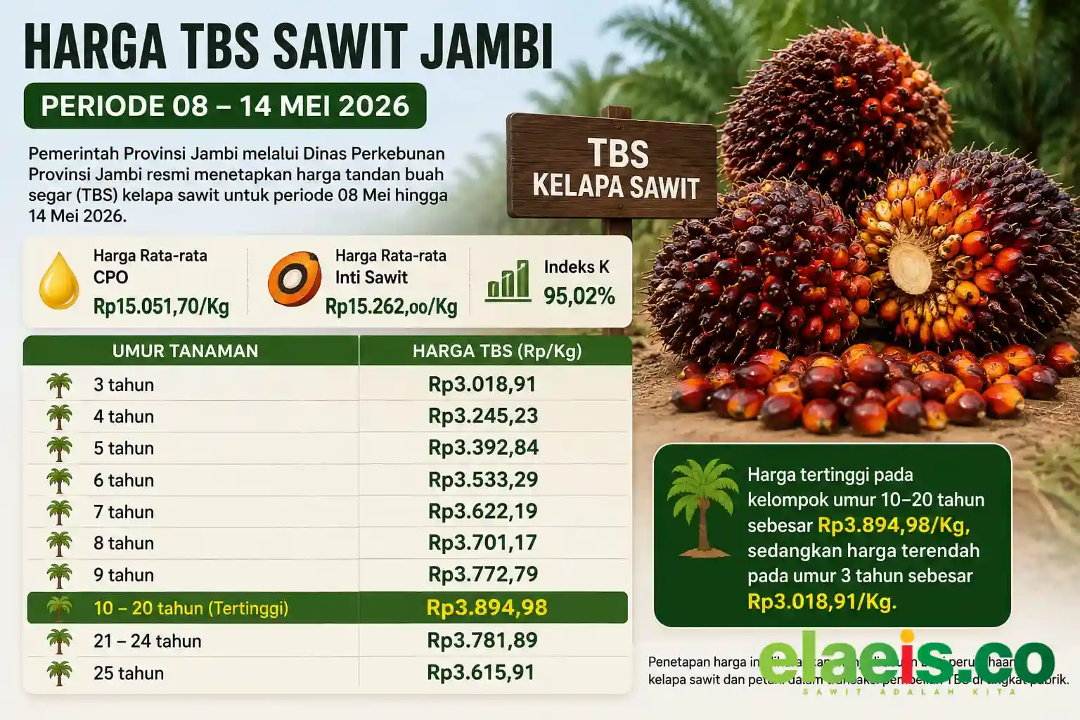 Harga Sawit Jambi Periode 8–14 Mei 2026 Naik, TBS Usia 10–20 Tahun Tembus Rp3.894/Kg