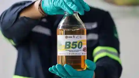 B50 Disebut Bisa Ubah Indonesia Jadi Raja Energi Sawit Dunia, Ini Dampak Dahsyatnya