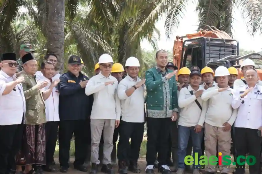 Dibuka Bupati, 405 Hektar Kebun Sawit KUD Karta Bersama Diremajakan