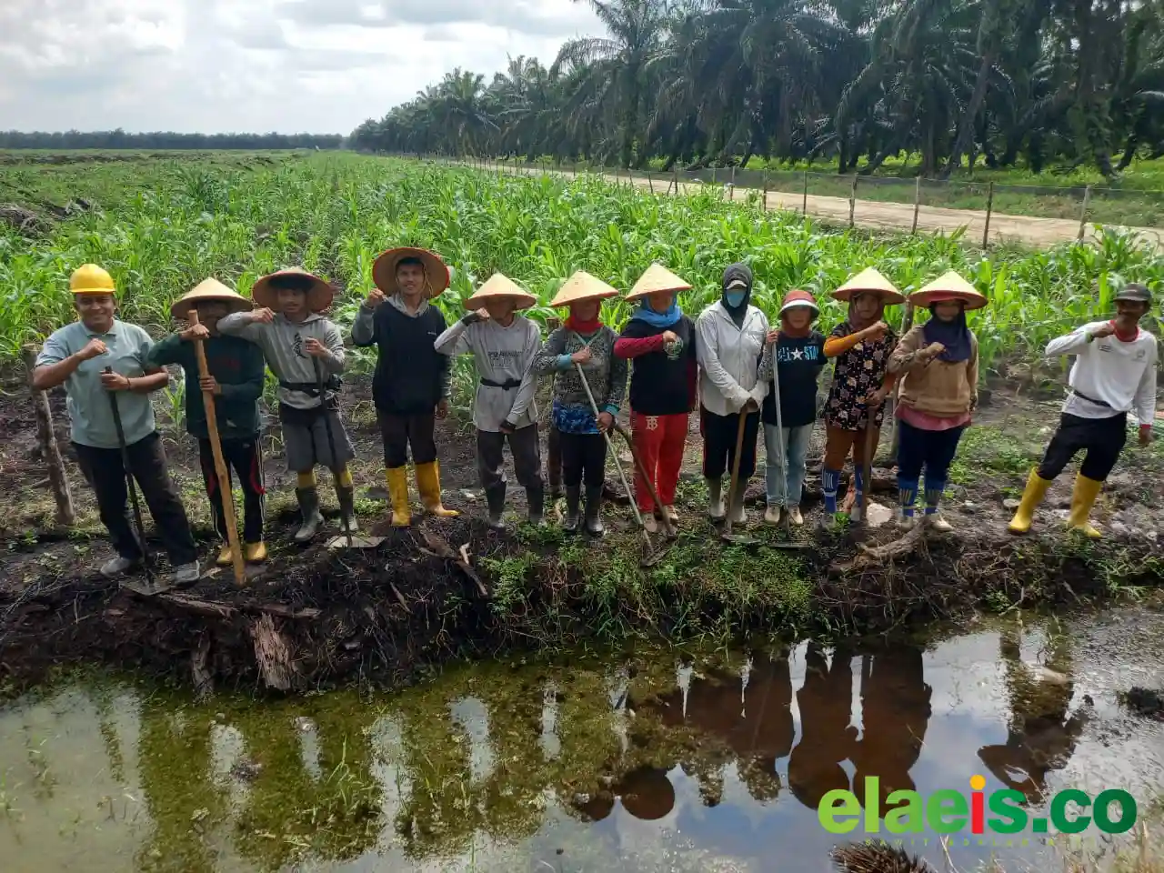 Dukung Swasembada Pangan, 10 Hektar Lahan Koppsa-M Ditanami Jagung Pipil