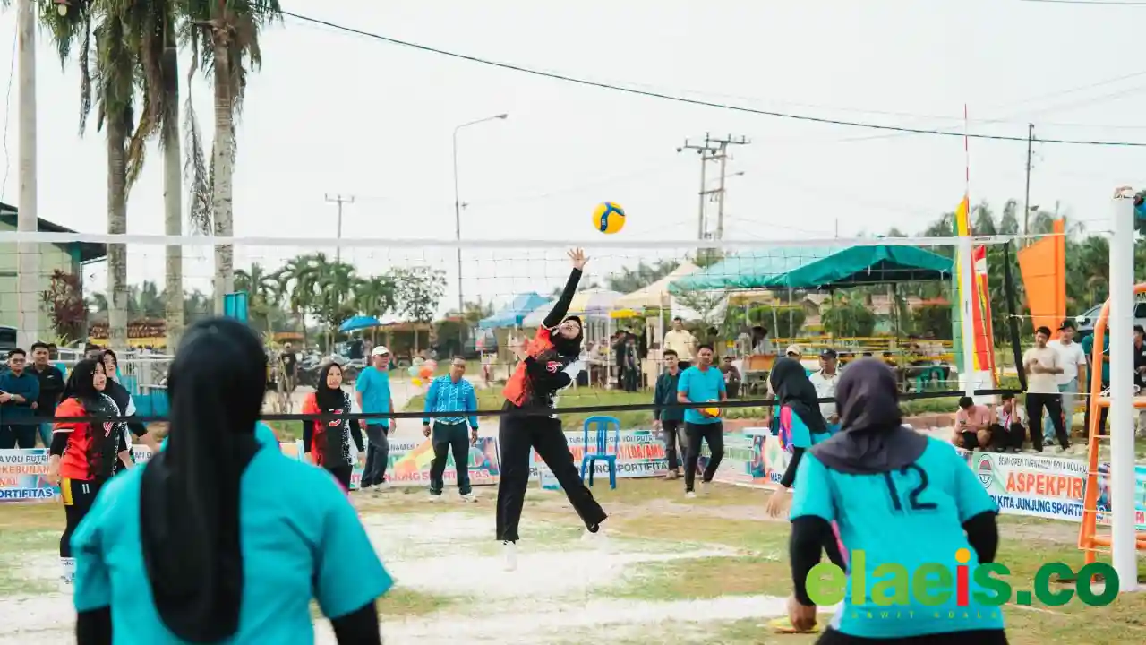PTPN IV Regional III Rangkul Ratusan Desa Semarakkan HUT RI