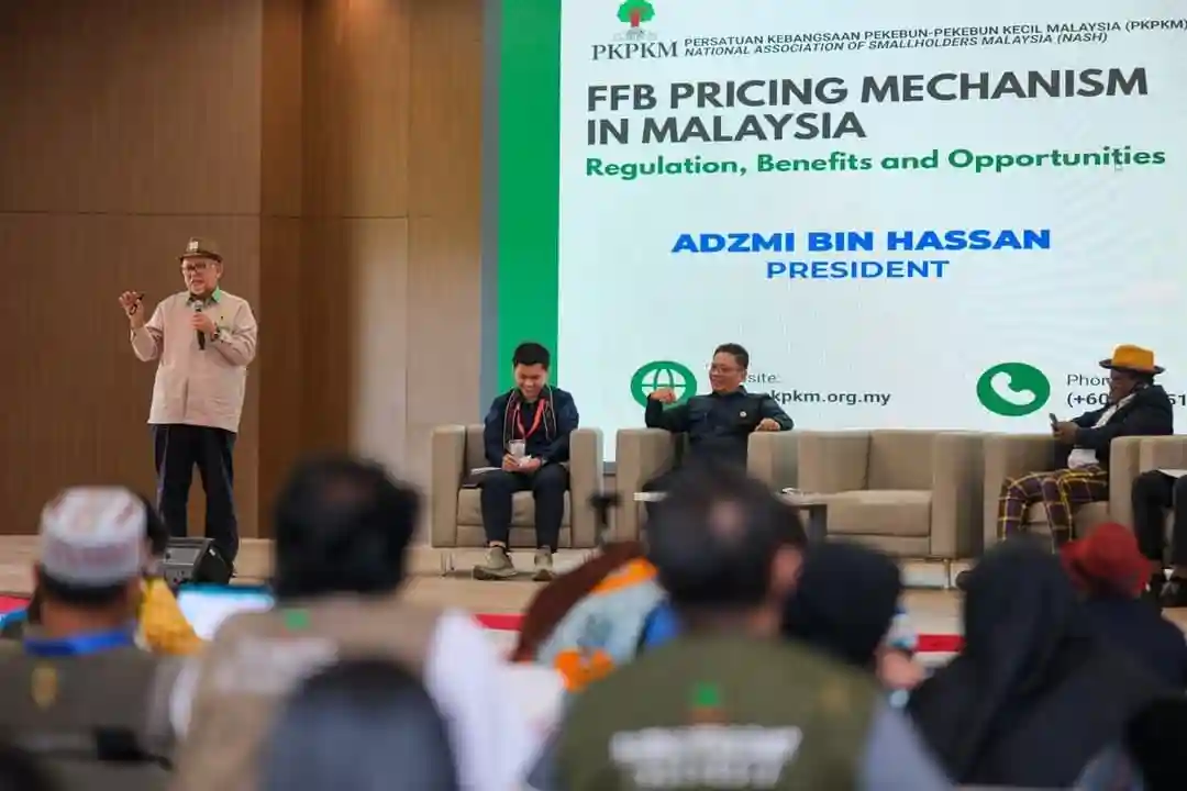 Ini Alasan TBS Sawit Malaysia Bisa Dibayar Lebih Mahal