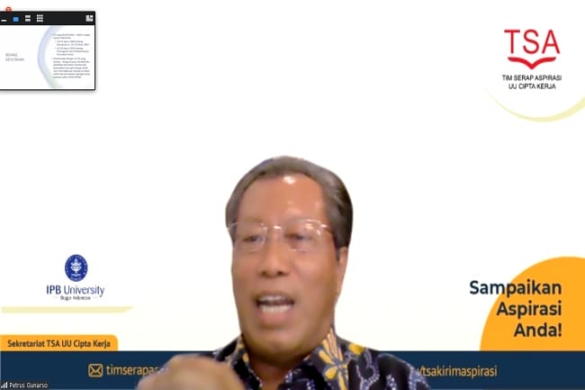 RPP Dipaksakan, RP170 Triliun Investasi Petani Sawit Bakal Lenyap