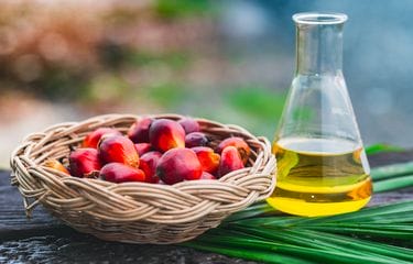 Benarkah Minya Sawit Buruk Untuk Kesehatan?