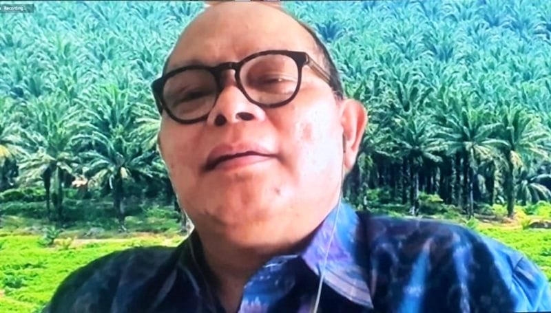 Kalau Ini Dilakukan, Sawit Rakyat Akan Unggul Dari Malaysia