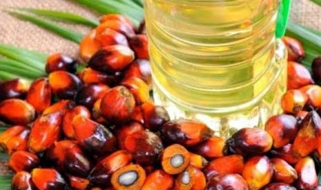 Minyak Sawit Sultra Primadona Bagi Cina, Ini Buktinya