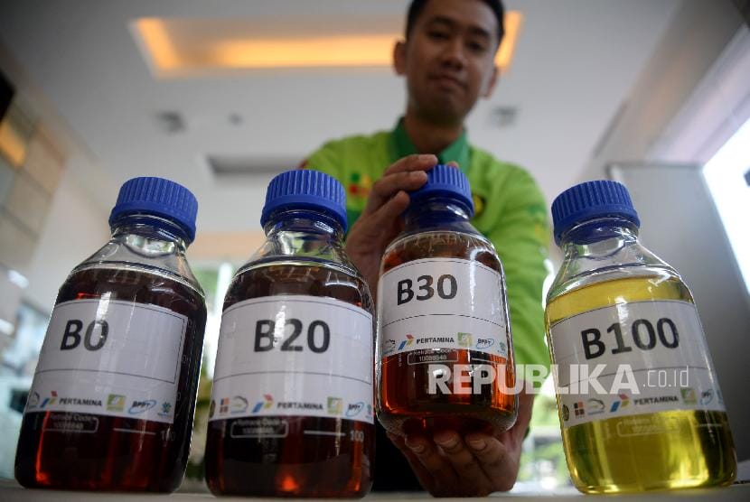 Petani Swadaya Bisa Langsung Jadi Penyuplai Biodiesel, Rencananya Sih...