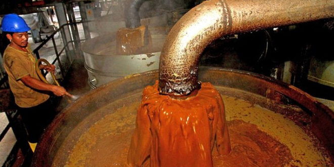 Harga CPO Melonjak, Pemicunya Harga Minyak