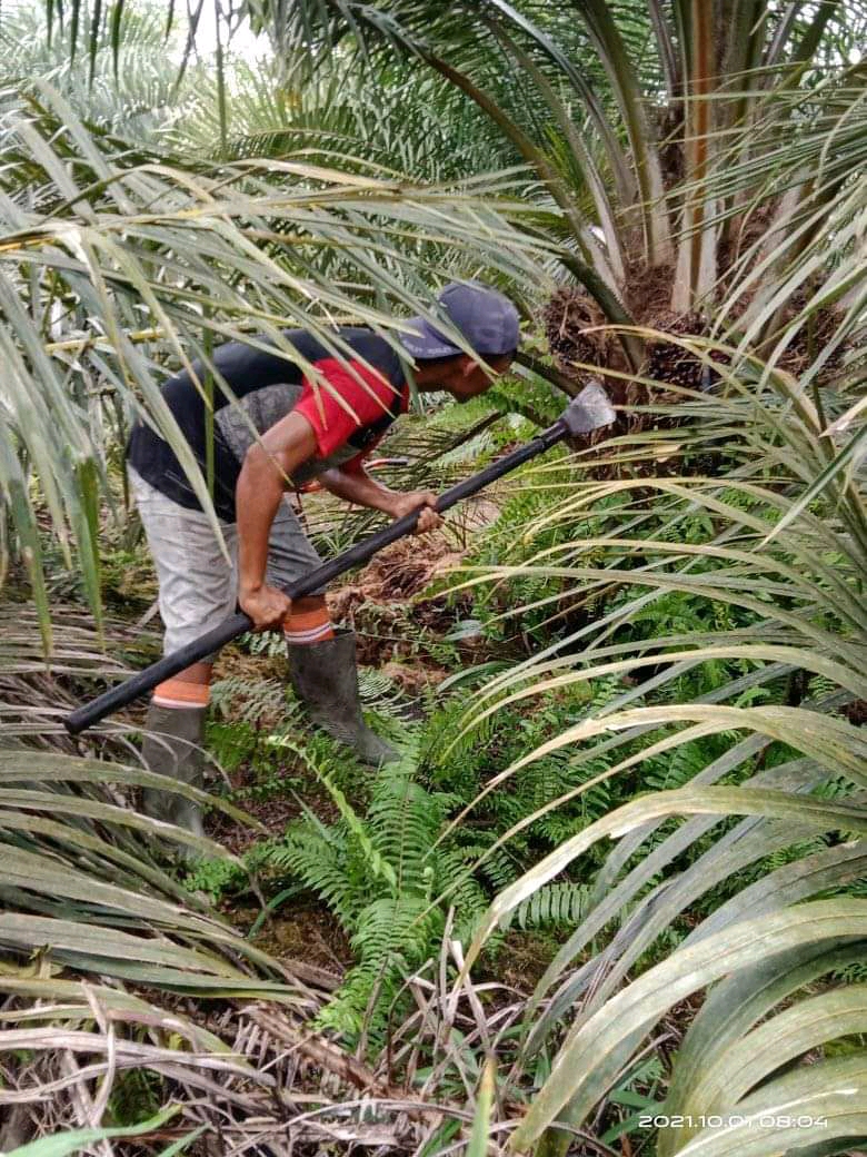 Bantu Percepat Kemitraan Petani, Pemkab Didorong Bikin Perbup