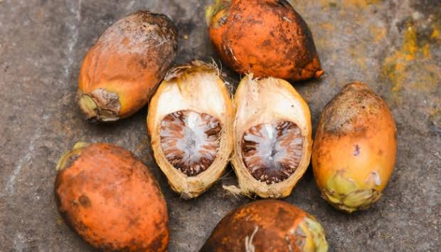 Tak Bisa Diharap, Harga Pinang di Riau Anjlok
