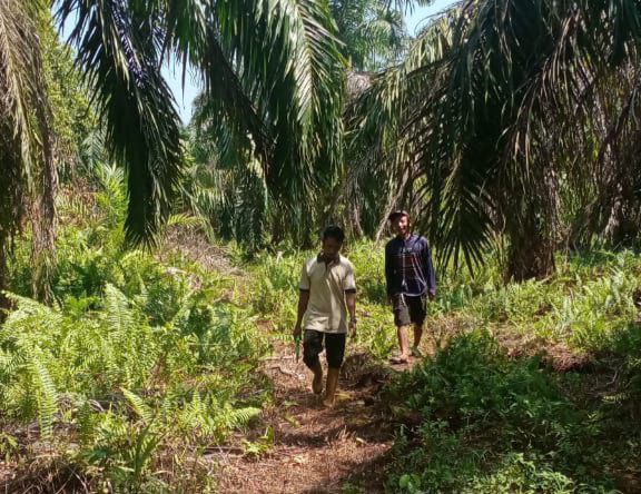 Meringankan Beban Petani ala Persi